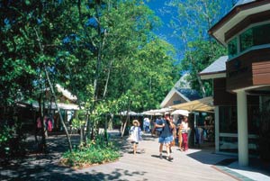 picture of green island shops