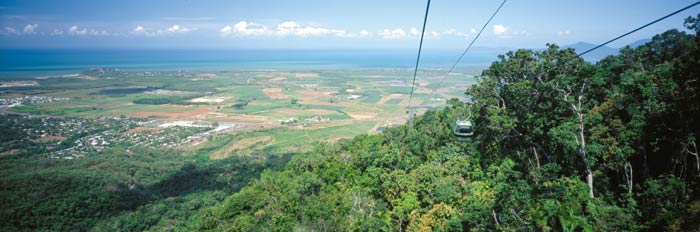 Cairns daytrips to Skyrail