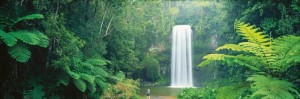 cairns tablelands waterfalls