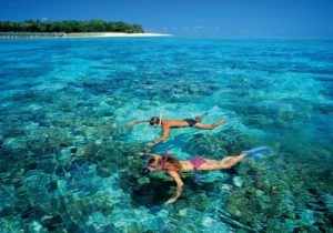 green island snorkeling