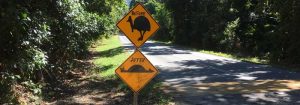 funny cassowary road sign