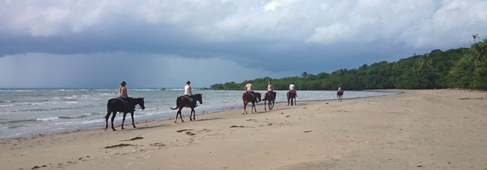 picture of cape trib horse riding on beach, daintree