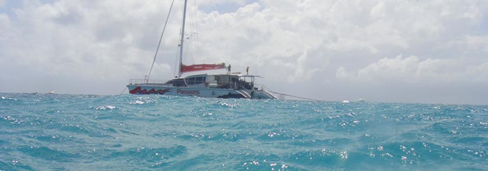 picture of passions of paradise boat