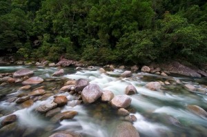 nq creek