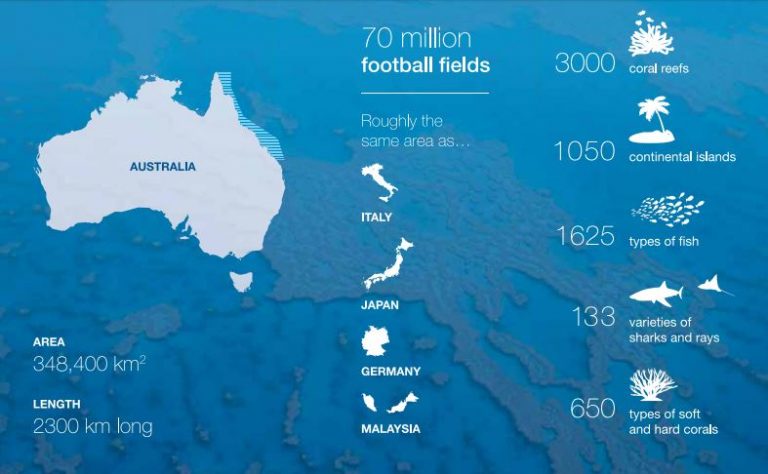 Great Barrier Reef Facts - Travel NQ