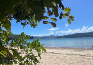 catseye beach
